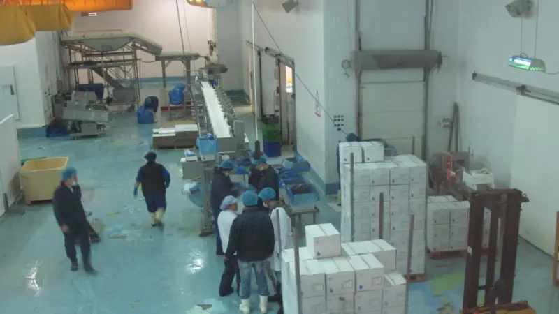 The processing facility produced five tonnes of fish per hour