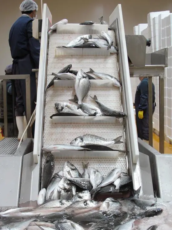 The company produces 30,000 tonnes of fish per year