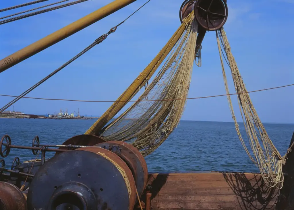 The guidance document is for economists and analysts looking to assess restricted fishing areas