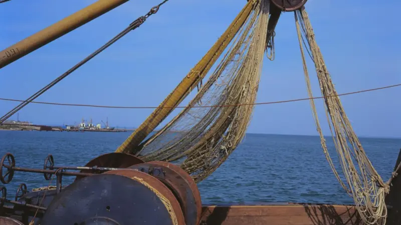 The guidance document is for economists and analysts looking to assess restricted fishing areas