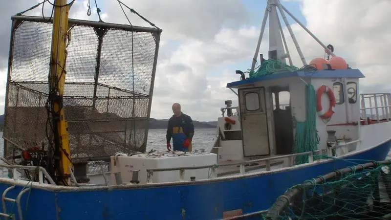 The fish pots utilised near fish farms are extremely large, normally 20m³. Photo: Odd-Børre Humborstad © Havforskningsinstituttet