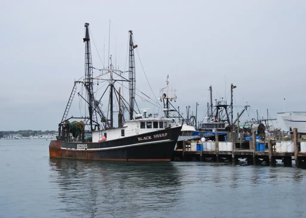 EU citizens have strong opinions on how money should be spent in the European fisheries sector