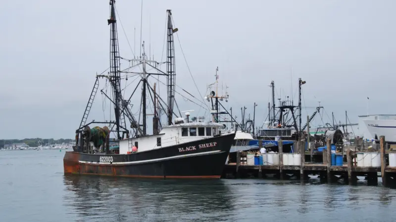 EU citizens have strong opinions on how money should be spent in the European fisheries sector