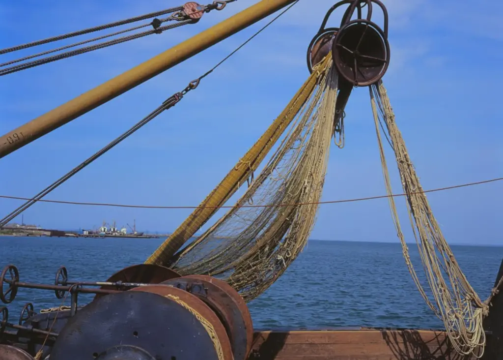 Narong Seafood has agreed not to use illegal software in connection with production or manufacturing of goods