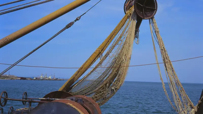 Narong Seafood has agreed not to use illegal software in connection with production or manufacturing of goods
