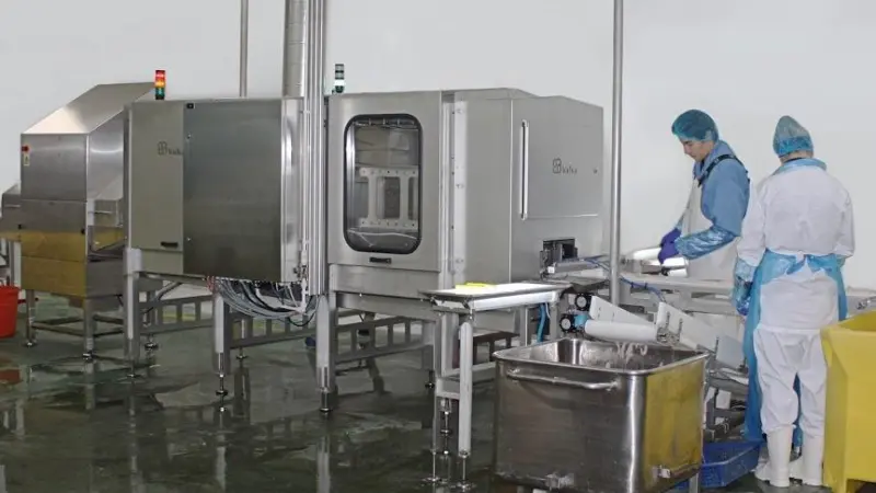Valka’s new x-ray guided cutting machine in action