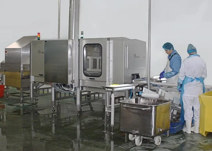 Valka’s new x-ray guided cutting machine in action