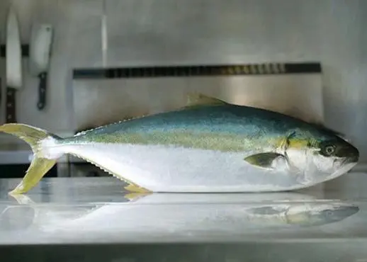 Clean Seas Tuna has issued formal dispute notices to both of its major feed supply companies