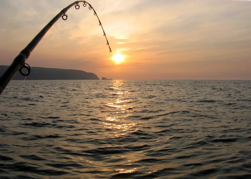 The manual will assess the impact of recreational fishing. Photo: John Rafferty Photography Marine Photobank