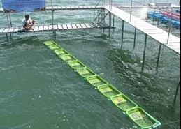 The research on crab bank cages aims to promote effective management of coastal fisheries