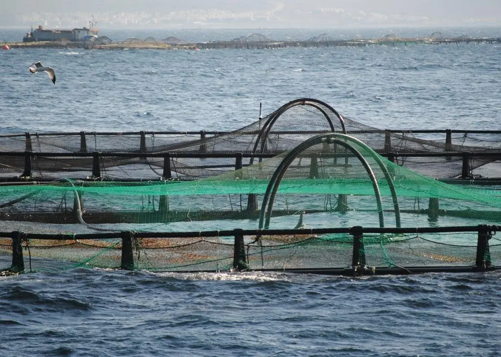 Participants had the opportunity to visit the CAMLI-PINAR fish farm