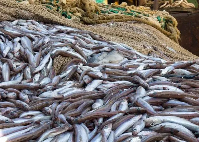 Australia has taken a science based approach to fisheries management