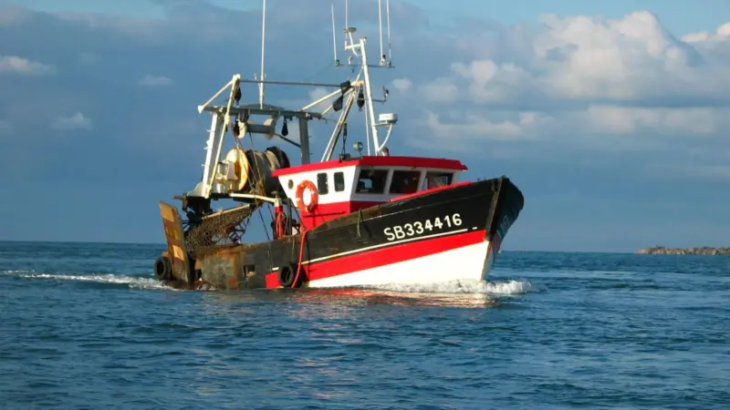 WWF has described the outcome as “true progress and a complete victory”. Credit: Axel Rouvin