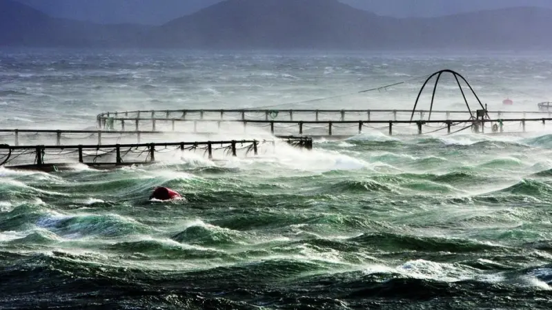 Norway's Akva Group has secured another contract with Russian Sea-Aquaculture LLC Photo: Akva Group