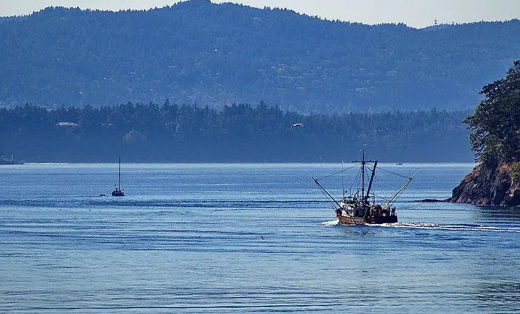 The reports says that new trade treaties jeopardize fisheries regulation. Credit: Kyle Flood/ CC BY-SA 2.0