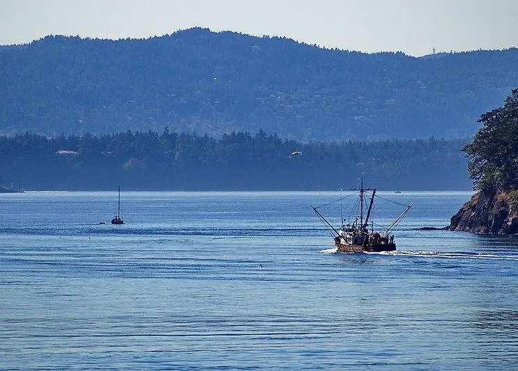 The reports says that new trade treaties jeopardize fisheries regulation. Credit: Kyle Flood/ CC BY-SA 2.0