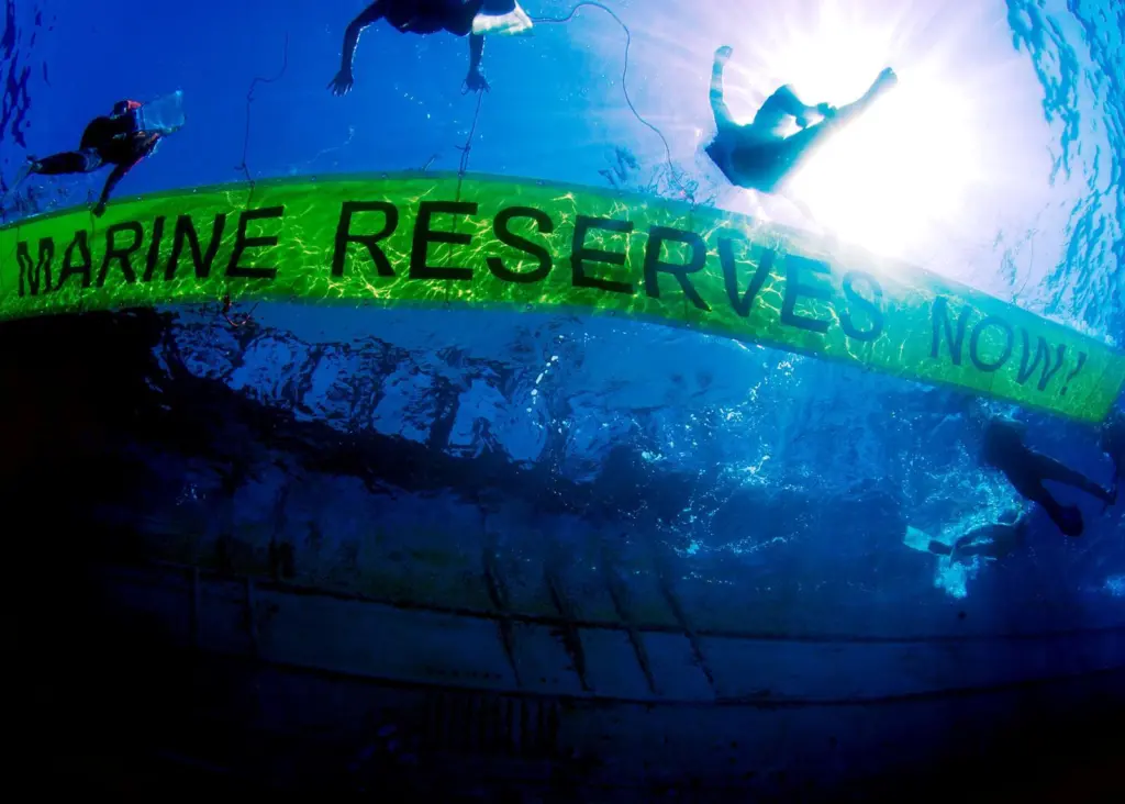 The new reserves will be managed for biodiversity conservation. Photo: Greenpeace/Carè/Marine Photobank