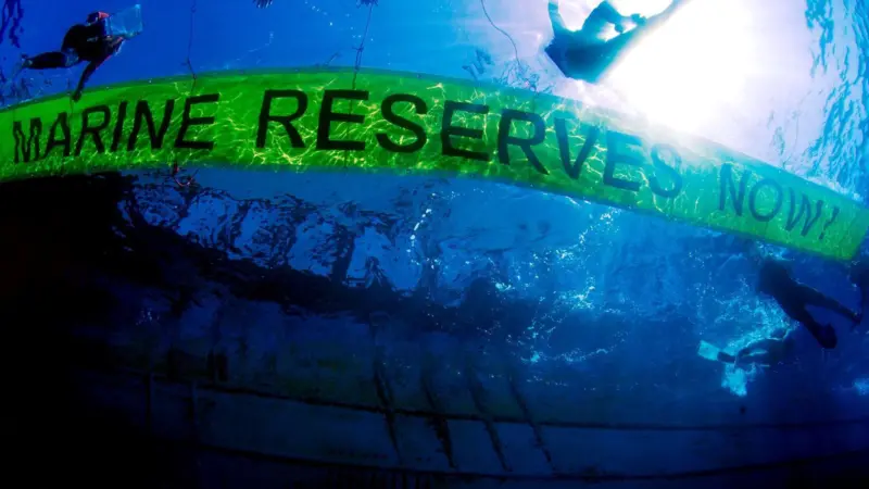The new reserves will be managed for biodiversity conservation. Photo: Greenpeace/Carè/Marine Photobank