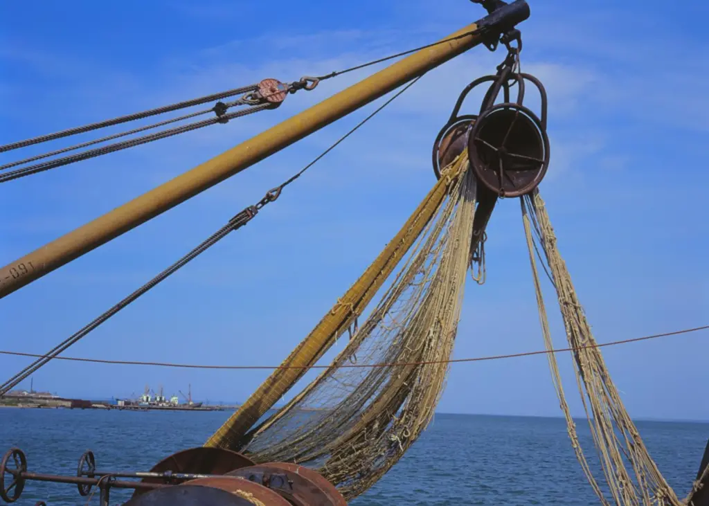 Oman's strategy will develop the fisheries sector during 2013 to 2020