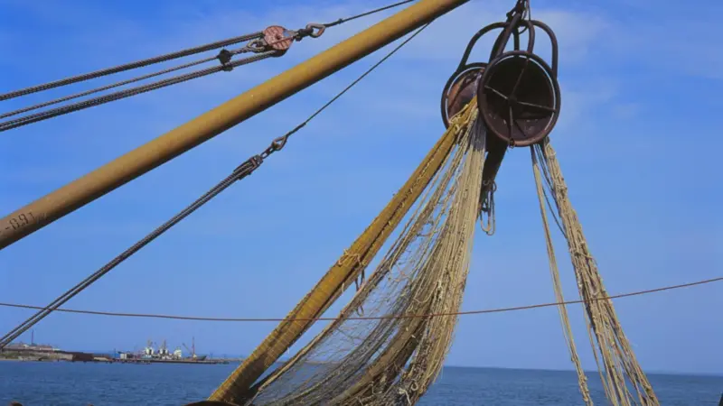Oman's strategy will develop the fisheries sector during 2013 to 2020