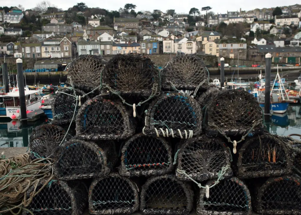 The event will provide support for the seafood industry