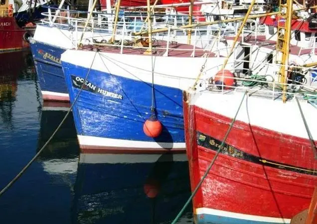 Marine scientists and fishermen now realise that they share a common goal of improving fisheries management and need to work together to achieve this. Credit: Wiki/Stephen McKay