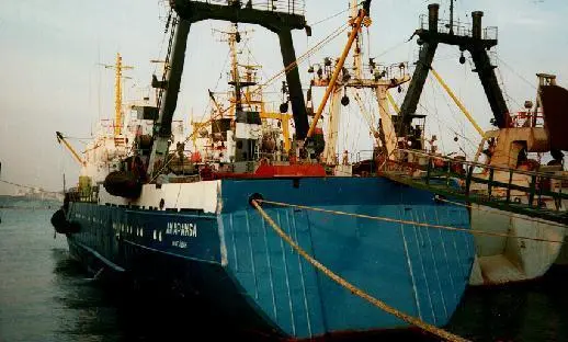 A large percentage of Russian catches ends up destined for export