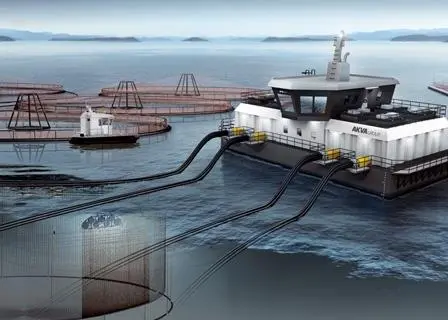 AKVA group has won a new contract for the delivery of its cage farming technology to National Prawn Co.