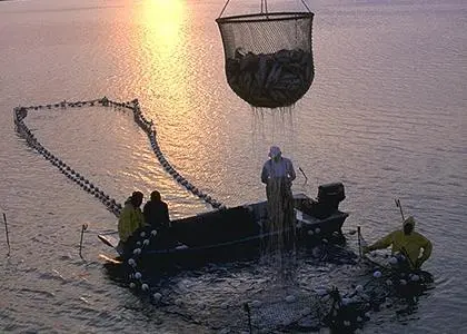 World demand for aquaculture supplies and equipment to grow 7.4% per year