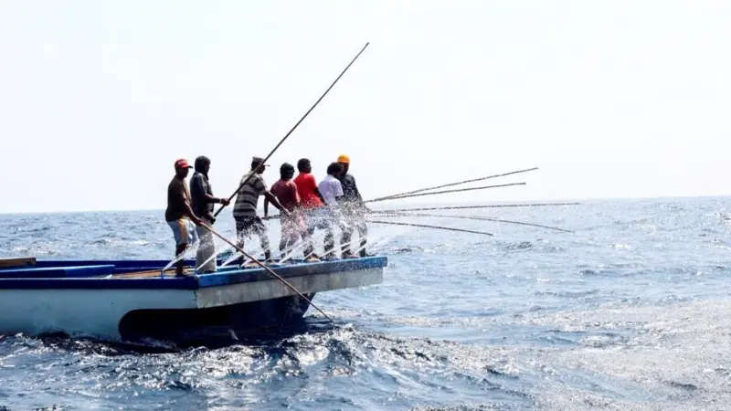 The validation certificate confirms that the tuna was caught using the traditional pole-and-line method