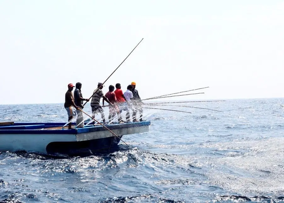 The validation certificate confirms that the tuna was caught using the traditional pole-and-line method