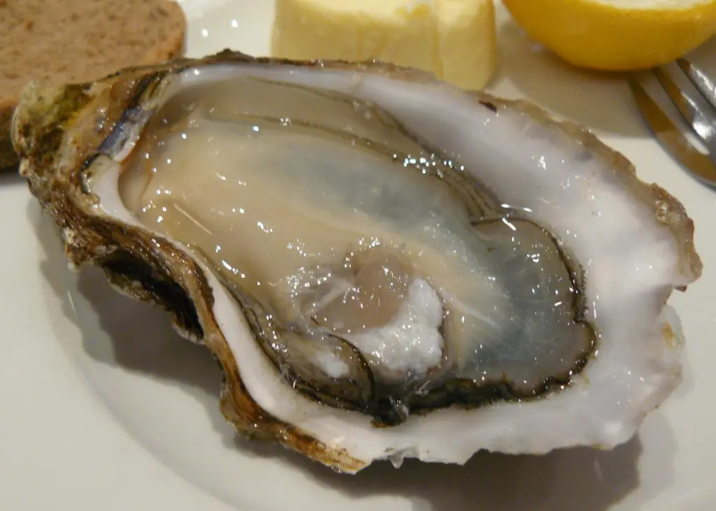 The UK shellfish industry will gather to discuss priorities for the year ahead