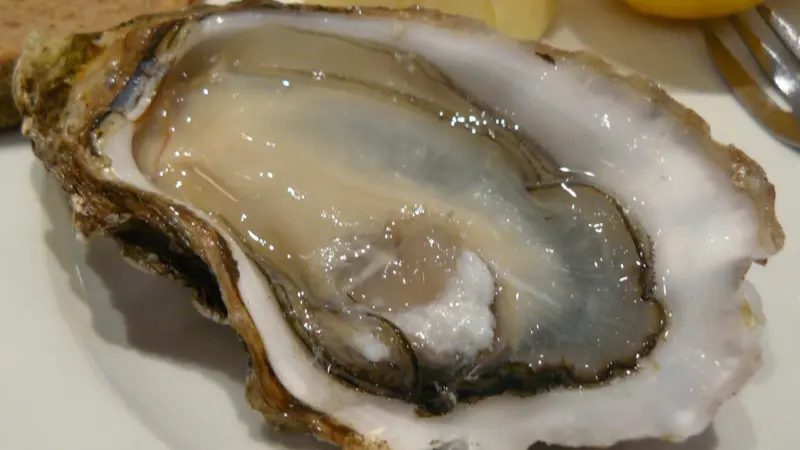The UK shellfish industry will gather to discuss priorities for the year ahead