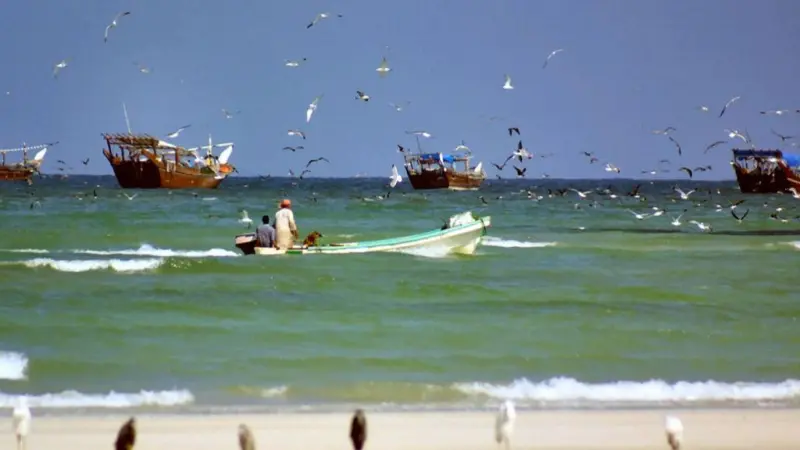The new Duqm fishing harbour will be one of Oman’s largest. Credit: B F Gliddiard, CC-BY-SA-2.0