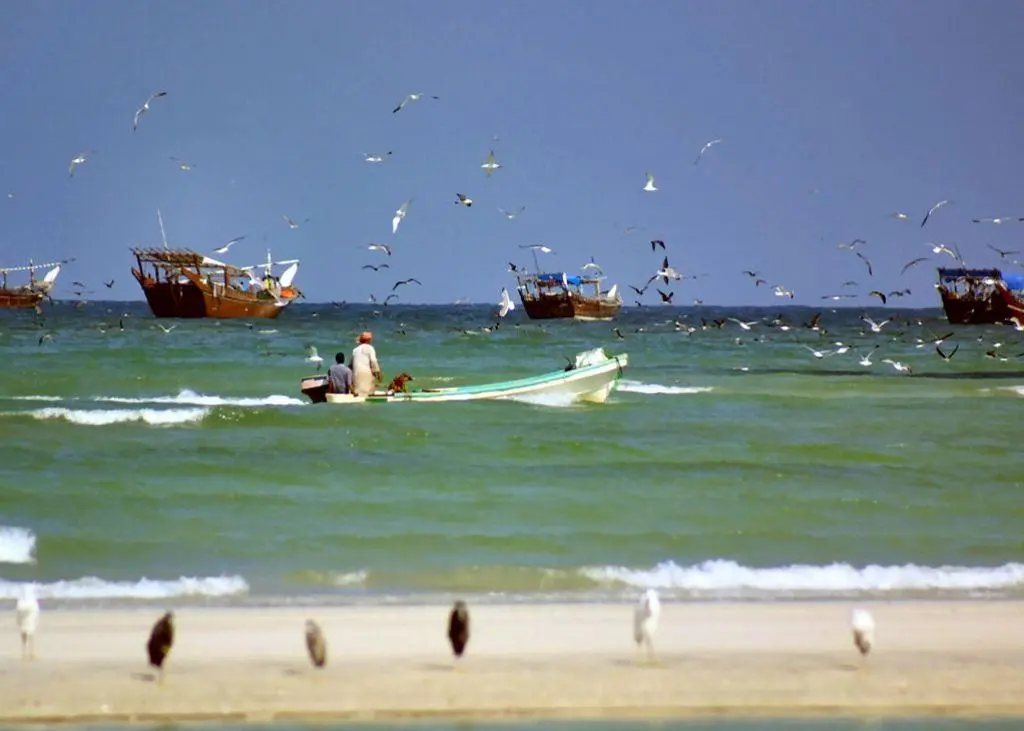 The new Duqm fishing harbour will be one of Oman’s largest. Credit: B F Gliddiard, CC-BY-SA-2.0