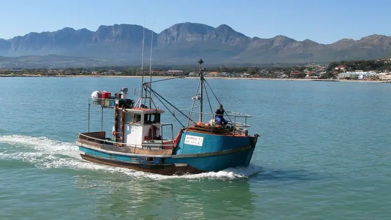 The ADEP will boost South Africa's aquacutlure sector. Photo: Coda