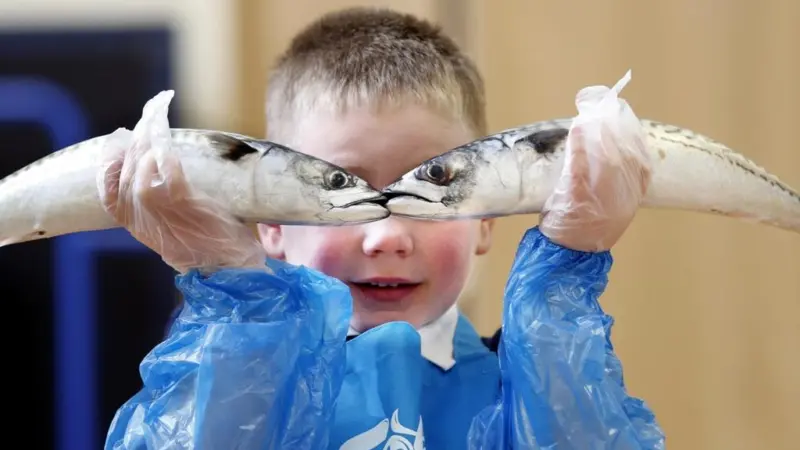 Seafish wants to educate early year’s children on the benefits of eating seafood
