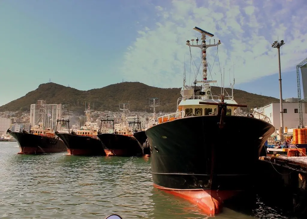Fishing boats in Busan Port, South Korea. Credit: Flickr/calflier001/cc-by-sa-2.0