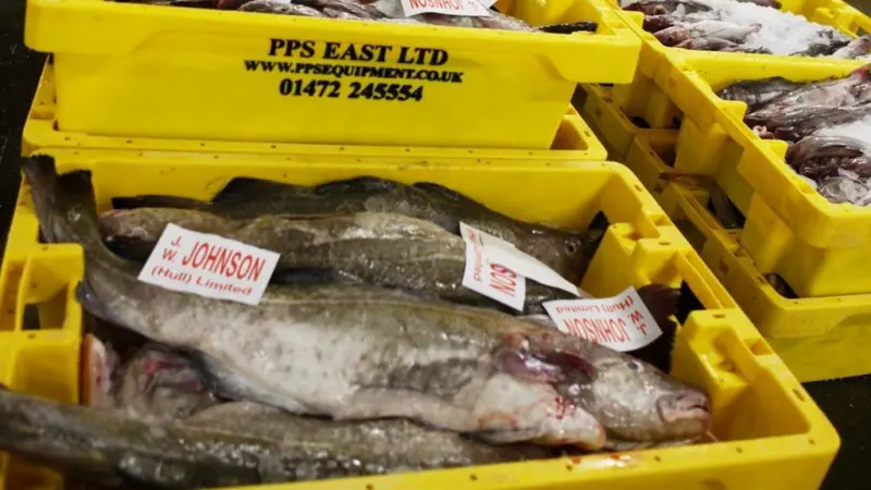 PPS’ fish box supply will now be managed by an internet monitoring system