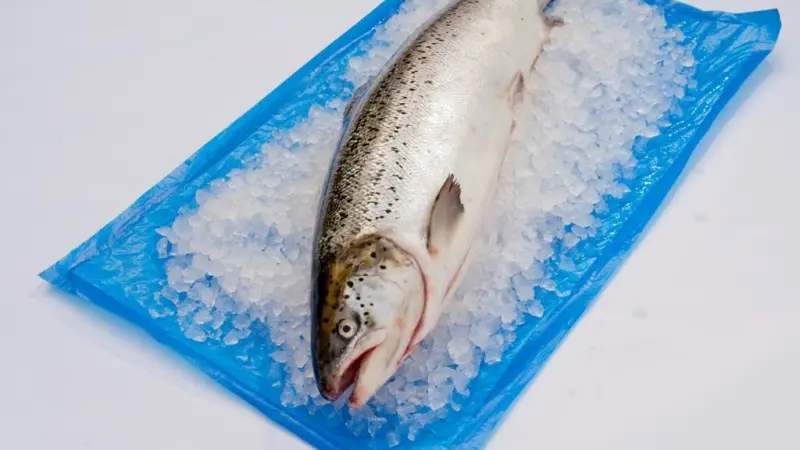 The Sea-Fresh pouch