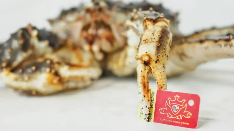 Norway's KingCrab is now Friend of the Sea (FoS) certified