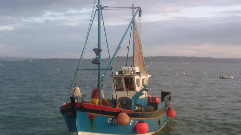 The Irish EU presidency has said it would aim secure a final agreement on the reform of the Common Fisheries Policy by June this year. Credit: Calcineur/ CC BY-SA 3.0