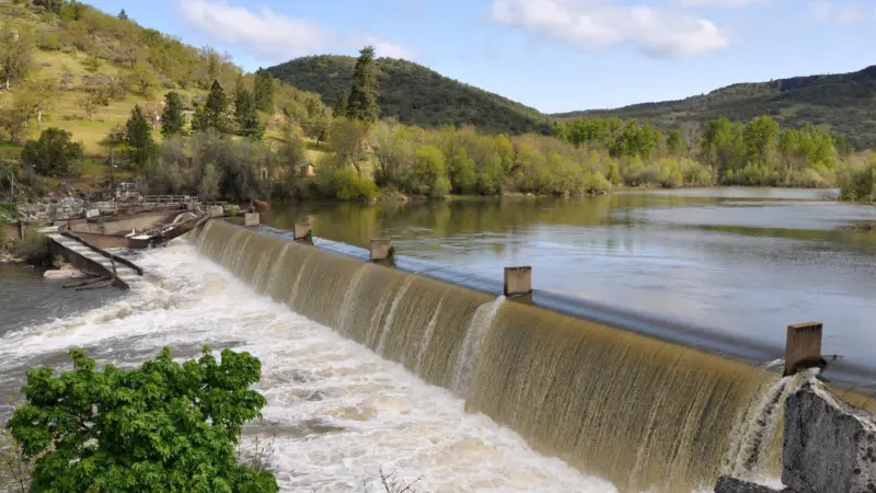 Dams have led to a decline in the abundance of long distance migratory fish. Photo: Finetooth
