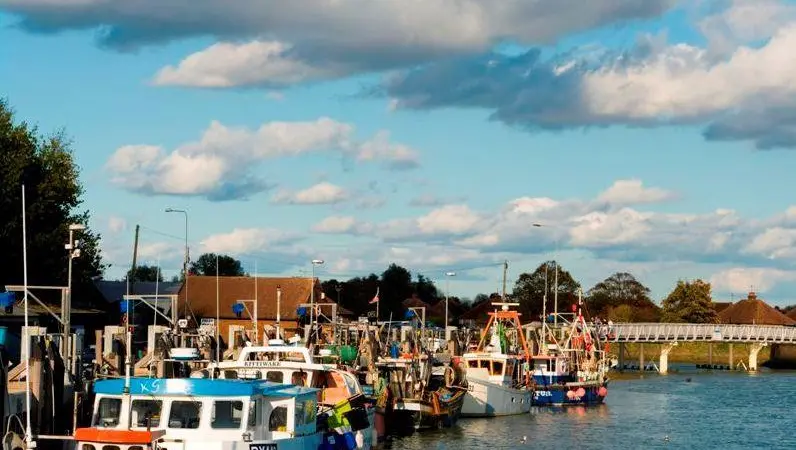 WWF: “European negotiators must agree on effective and enforceable commitments to stop overfishing”