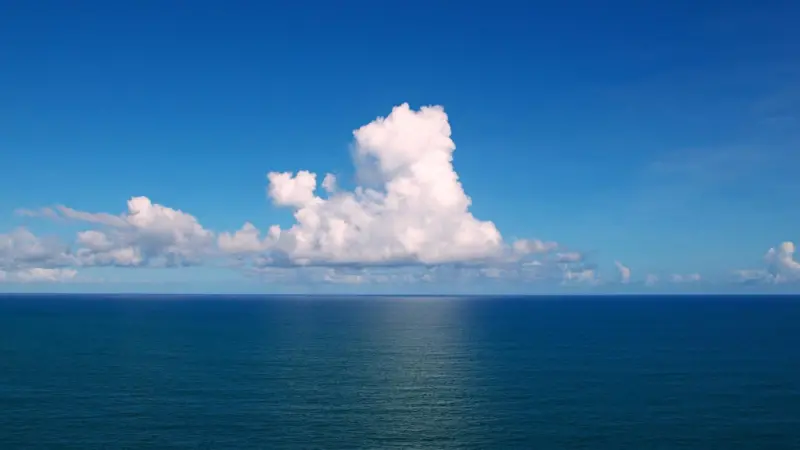 The research alliance will promote sustainable management of the Atlantic Ocean's resources. Photo: Tiago Fioreze