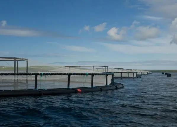 TSSC has ordered 16 Oceanflex fish farm pens
