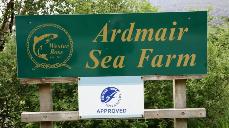 The Ardmair salmon farm © AGS