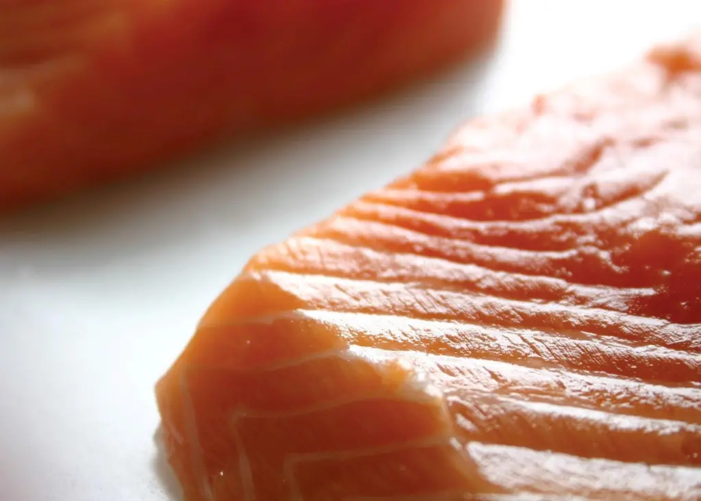 Collectively, Blumar's 11 farms produce around 4,000 tonnes of salmon per cycle
