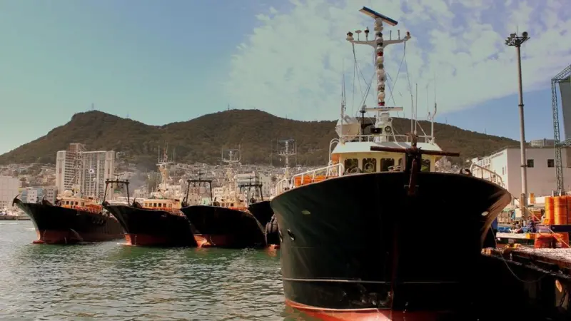 Fishing boats in Busan Port, South Korea. Credit: calflier001/CC-BY-SA-2.0