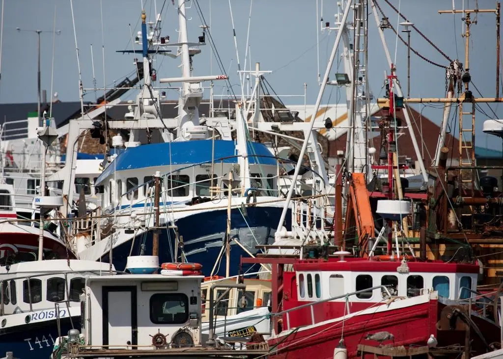 It is feared that the EMFF will fuel overfishing. Credit: William Murphy/CC-BY-SA-2.0